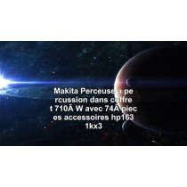 Makita HP1631KX3