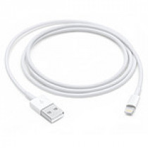APPLE LIGHTNING TO USB CABLE (1?M)