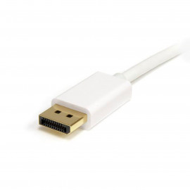 STARTECH Câble adaptateur Mini DisplayPort mâle / DisplayPort 1.2 mâle (1 mètre)
