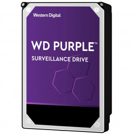 WESTERN DIGITAL Purple 1 TB