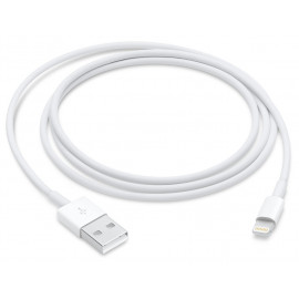 APPLE Câble USB Lightning blanc