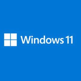 Microsoft Windows 11 Professionnel For Workstation 64 bits