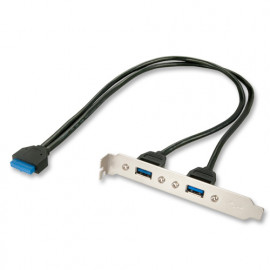 Lindy Cache d'emplacement 2 ports USB 3.0 type A™