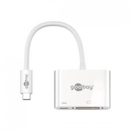 GENERIQUE goobay Adaptateur vidéo externe USB-C DVI blanc