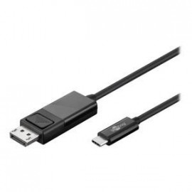 GENERIQUE Adaptateur vidéo externe USB-C DisplayPort noir En vrac