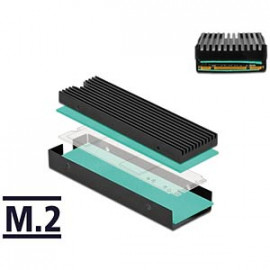 DeLock Dissipateur thermique pour M.2 SSD 2280
