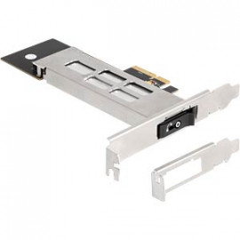 DeLock Cadre amovible PCIe pour 1x M.2 NVMe SSD, serrure