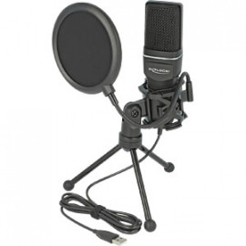 DeLock Microphone à condensateur avec filtre pop, support de table et antenne unidirectionnelle