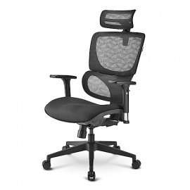 Sharkoon Chaise de bureau OfficePal C30 noir