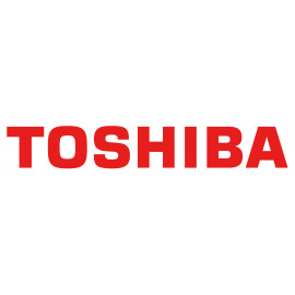 TOSHIBA BULK P300 Performance HDD 6To  BULK P300 Performance Hard Drive 6To 128MB 3.5inch