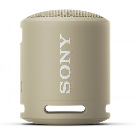 SONY Enceinte Bluetooth  SRS-XB13 Gris Minéral
