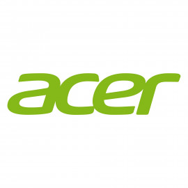 ACER STYLET EMR pour Spin 13 CP713-1WN Bulk