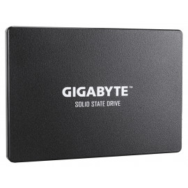 Gigabyte GP-GSTFS31256GNTD 256GB
