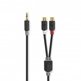 Nedis Câble audio stéréo 3.5 mm Mâle 2x RCA Femelle Plaqué or 0.20 m Rond Anthracite Boîte