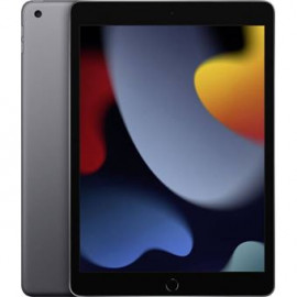 APPLE iPad 10,2" 64 Go Wifi 9-ème génération 2021 Gris sidéral
