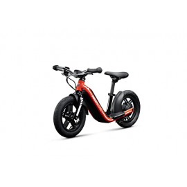 DUCATI Mini moto elec enfant / moteur 250W Pneu 16'' / 16kmh max 15.5kg Batt 21