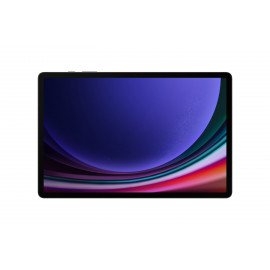 SAMSUNG Tab S9+ WIFI only 256GB/12GB Graphite